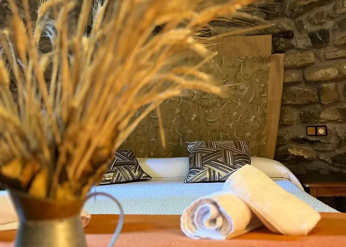 Fonda Carrera 3* Labuerda